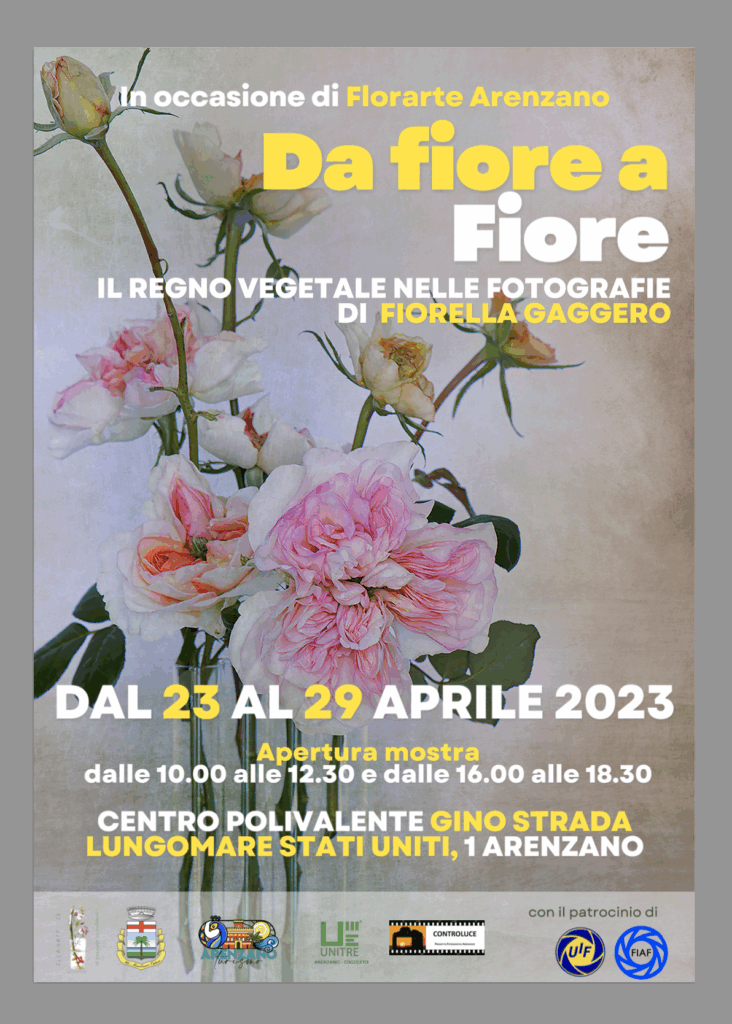 "Da fiore a Fiore"