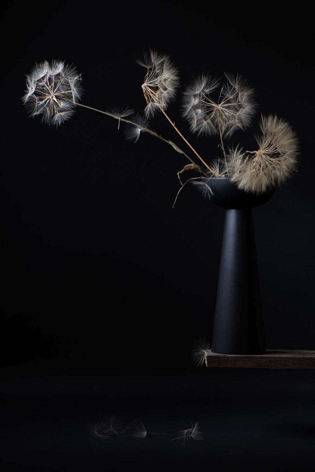 Fiorella Gaggero fotografa still life