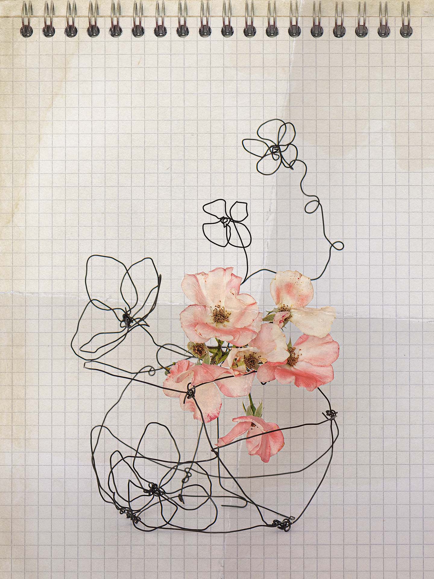 Doodles